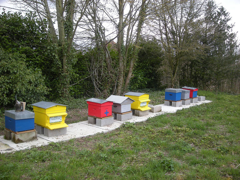 La ruche Stode Bopied